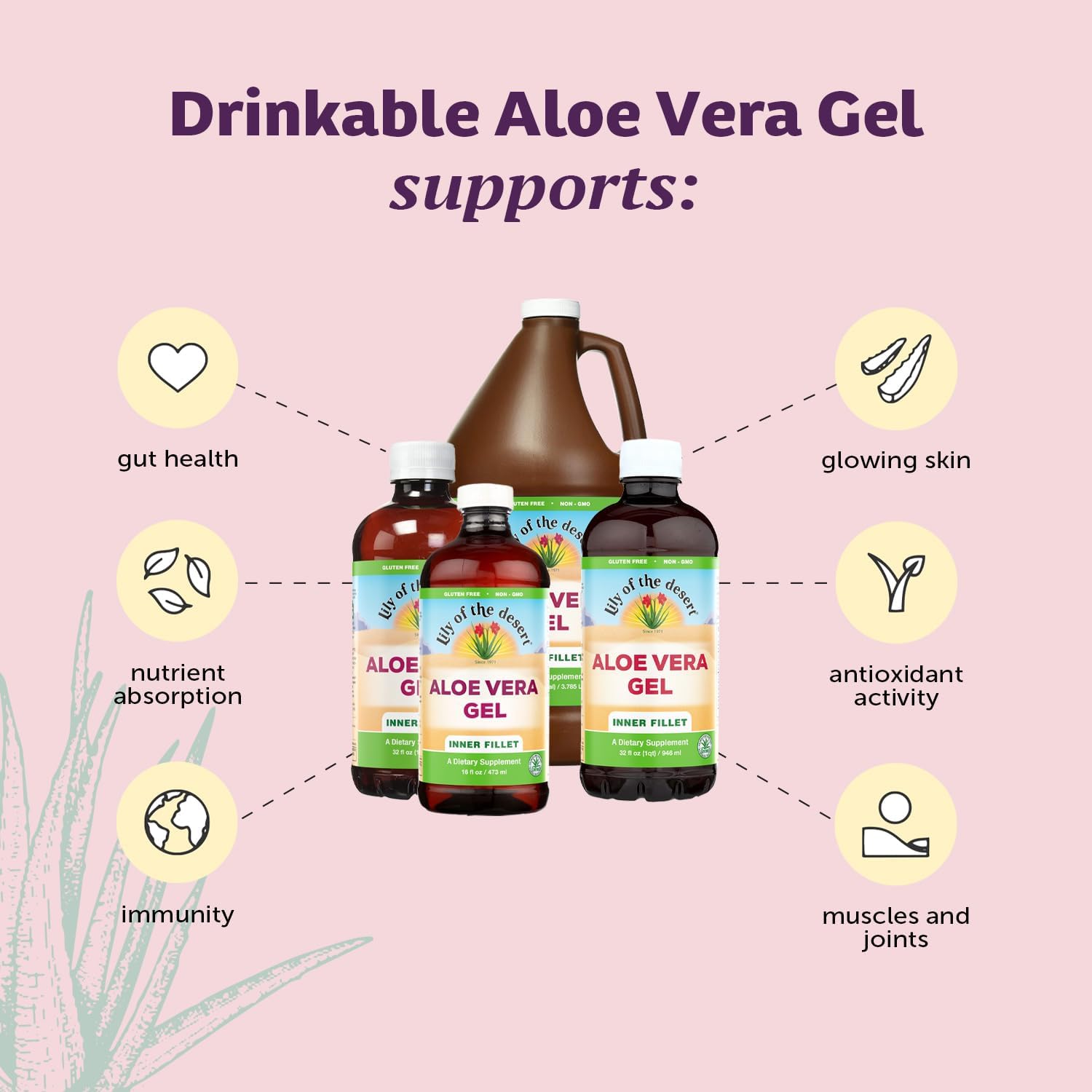 Aloe Vera Juice Lily Of The Desert Organic Inner Fillet

