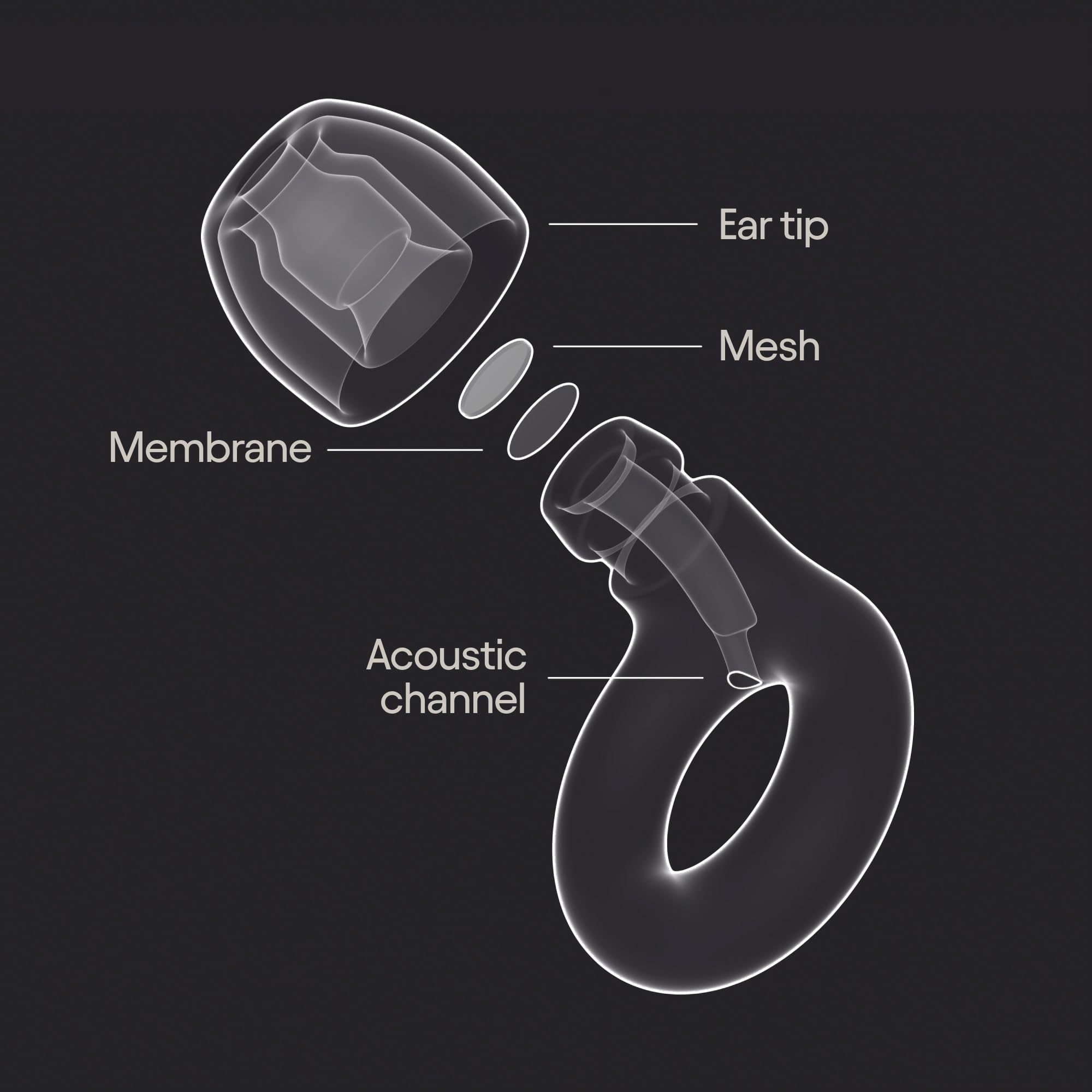 Loop Ear Plugs - Concert Hearing Protection

