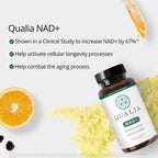 Qualia NAD+ Supplement Doctor-Formulated NAD+ Precursors

