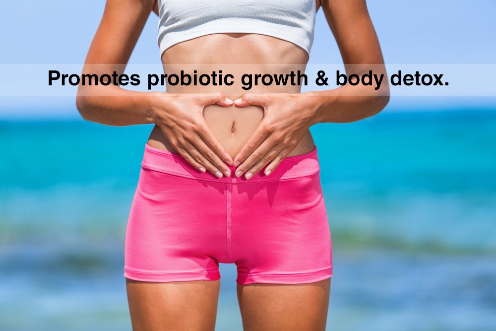 DrFormulas Nexabiotic Multi Probiotic 23-Strain Formula


