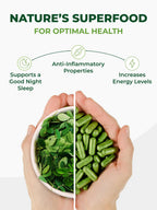 Pura Vida Moringa Capsules — Pure Leaf Powder

