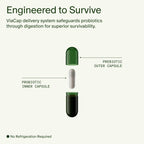 Seed DS-01 Synbiotic Probiotic + Prebiotic

