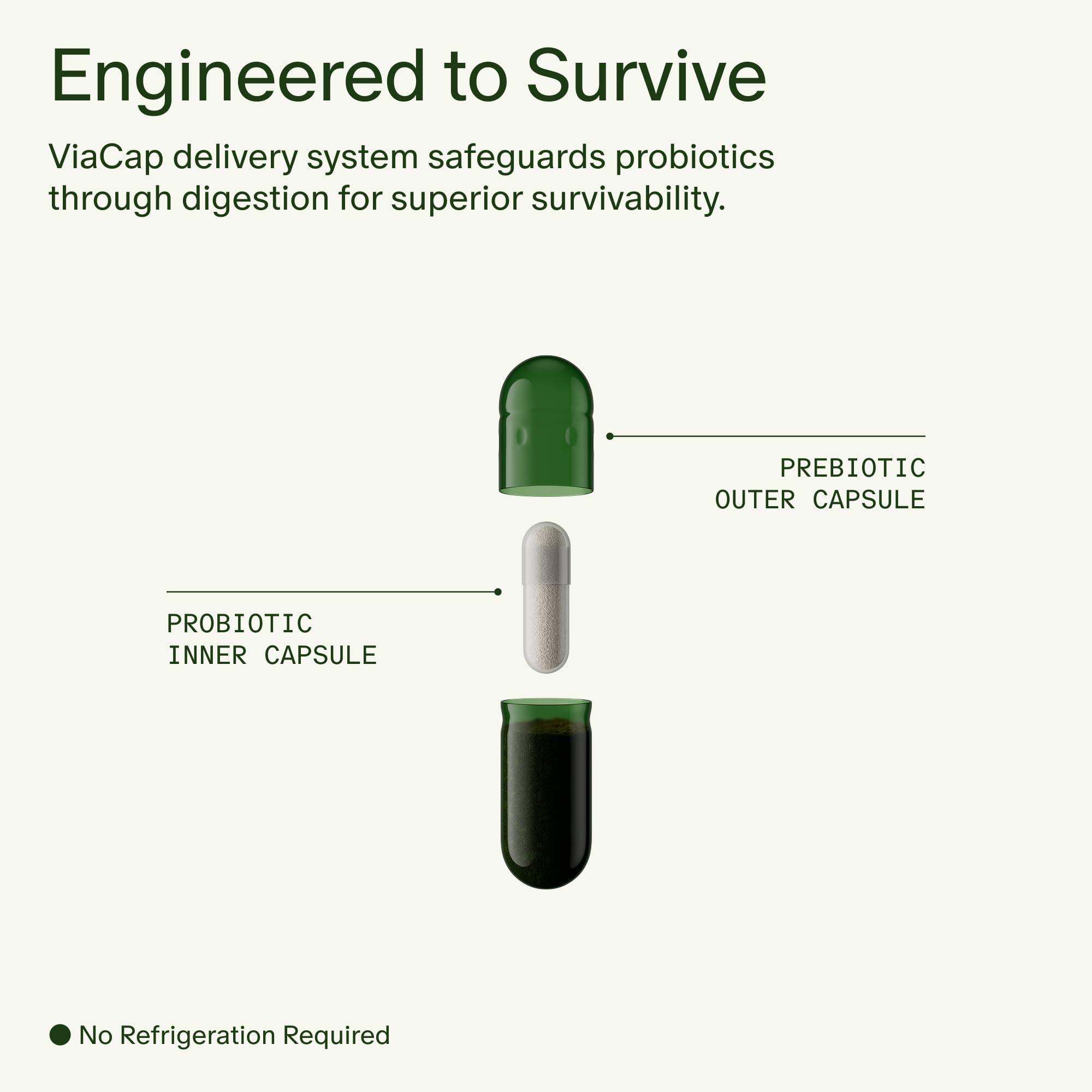 Seed DS-01 Synbiotic Probiotic + Prebiotic

