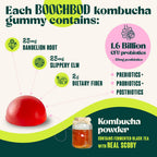 BoochBod Probiotic Kombucha Gummies for Gut Health

