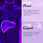 VIDAVITE Liver Support Gummies – Sugar-Free Detox

