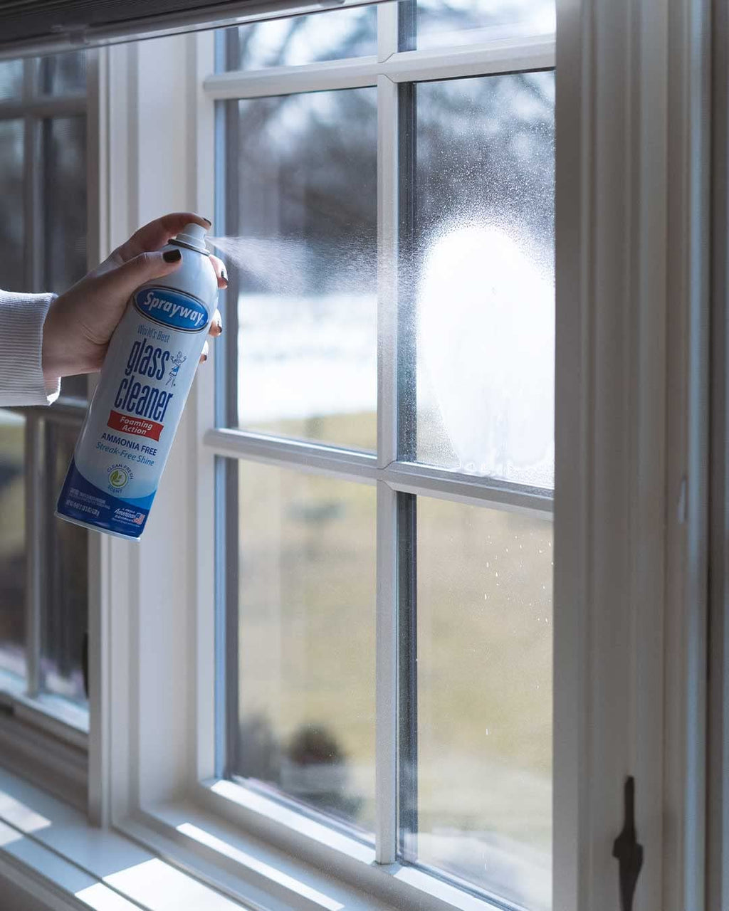 Sprayway Glass Cleaner with Foaming Spray Streak-Free Shine

