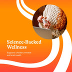 Seeking Health Brain & Energy Vitamin

