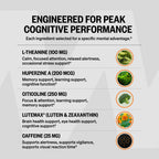 ONNIT Alpha Brain Black Label – Citicoline Brain Support

