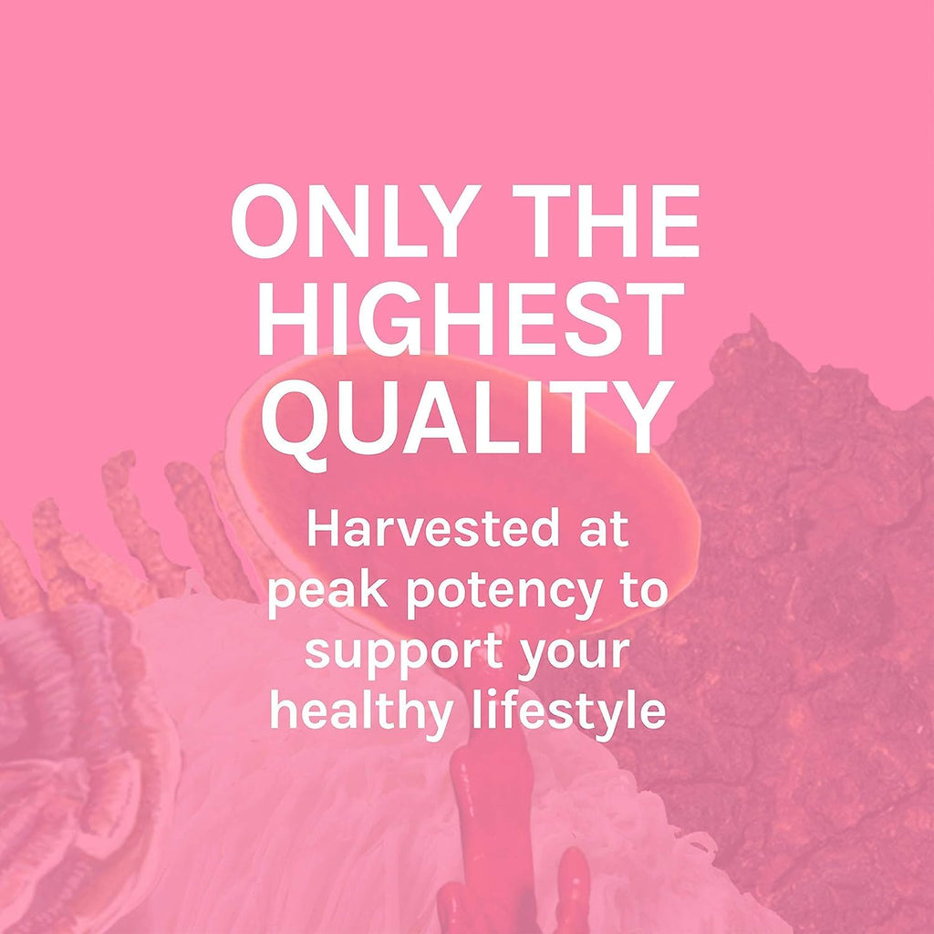 Host Defense Turkey Tail Capsules Digestive Health

