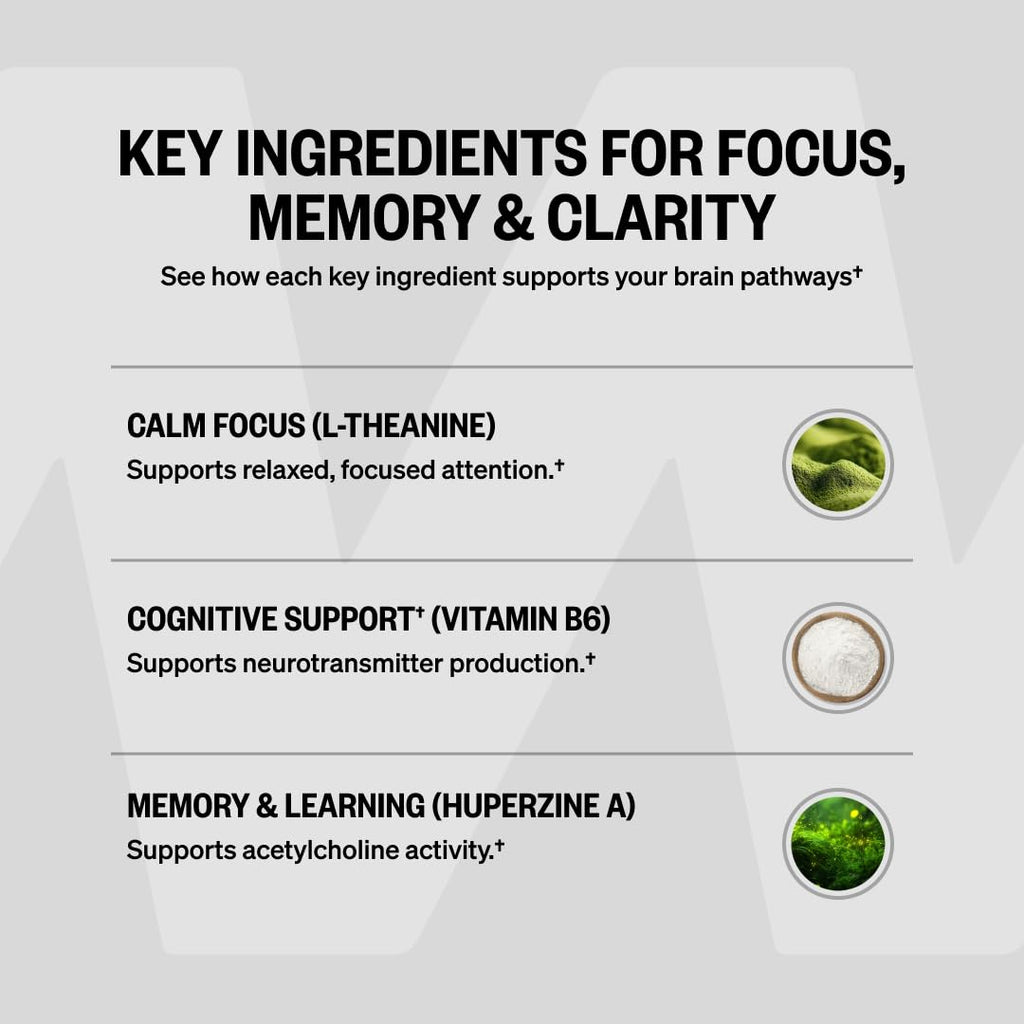 ONNIT Alpha Brain Nootropic for Focus & Memory

