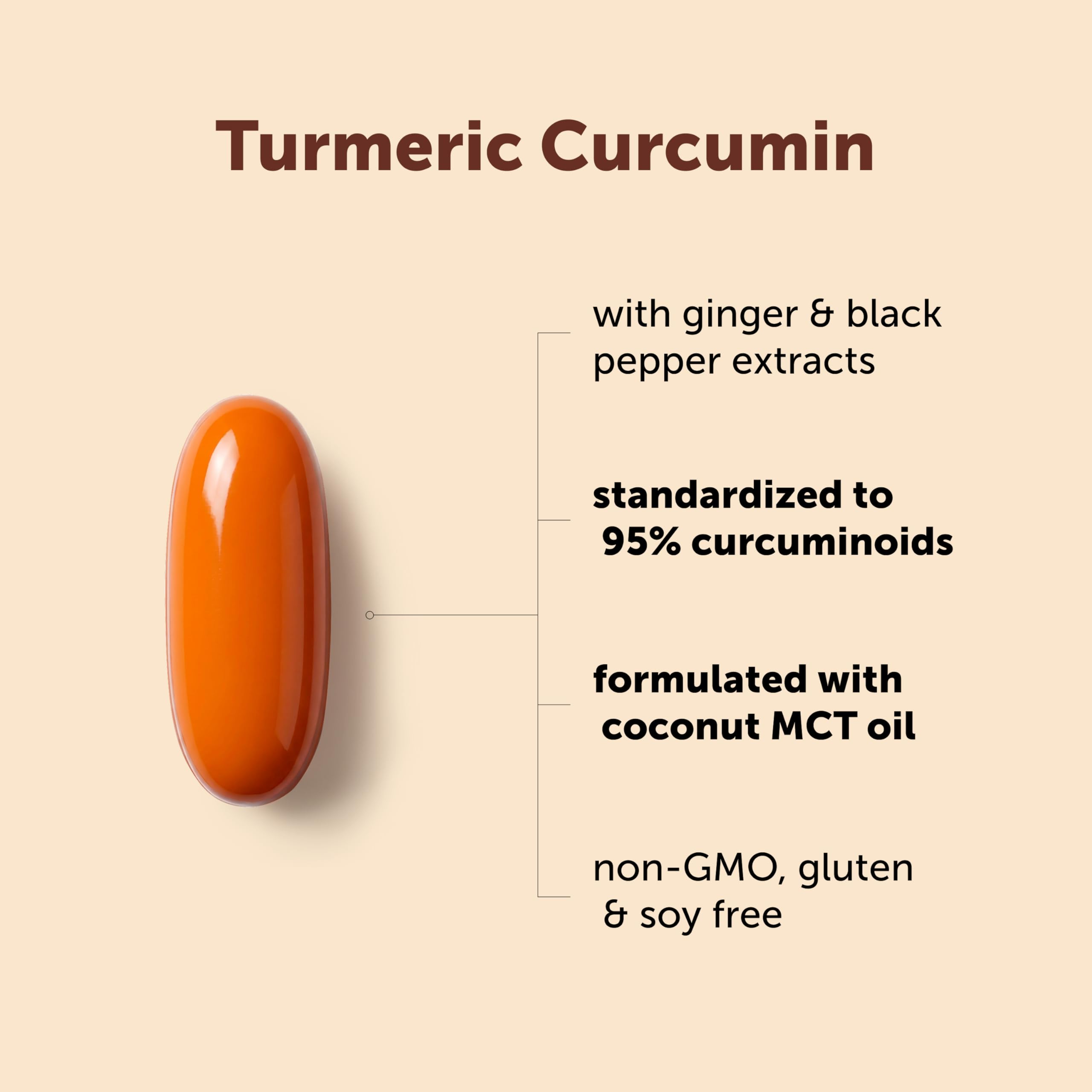 Micro Ingredients Turmeric Curcumin with Black Pepper

