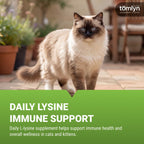 L-Lysine Powder for Cats by Tomlyn | Immune Support

