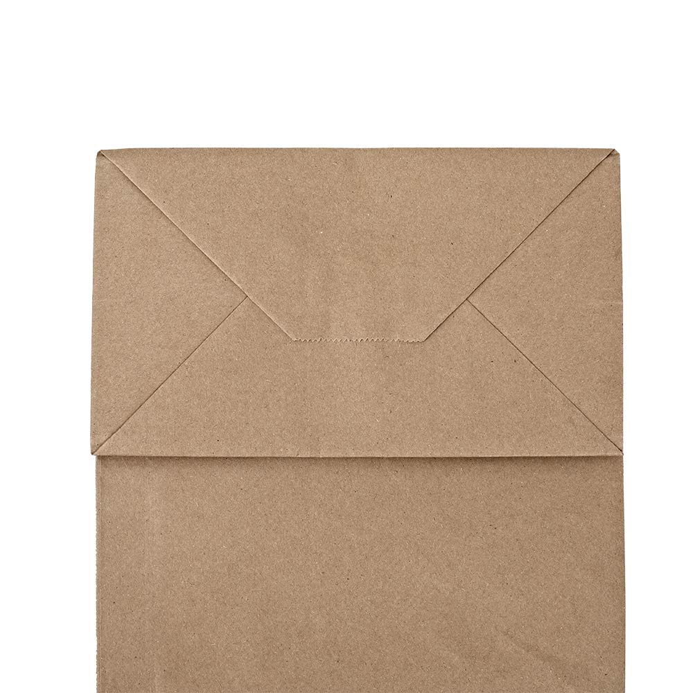 Kraft Paper Gift Bags with Handles | bagmad Eco-Friendly

