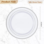 BESTVIP Disposable Plastic Plates with Rim


