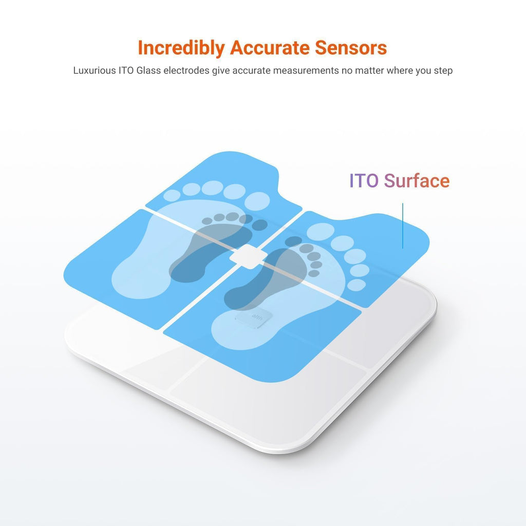 iHealth Nexus Smart Scale Weight and Body Composition

