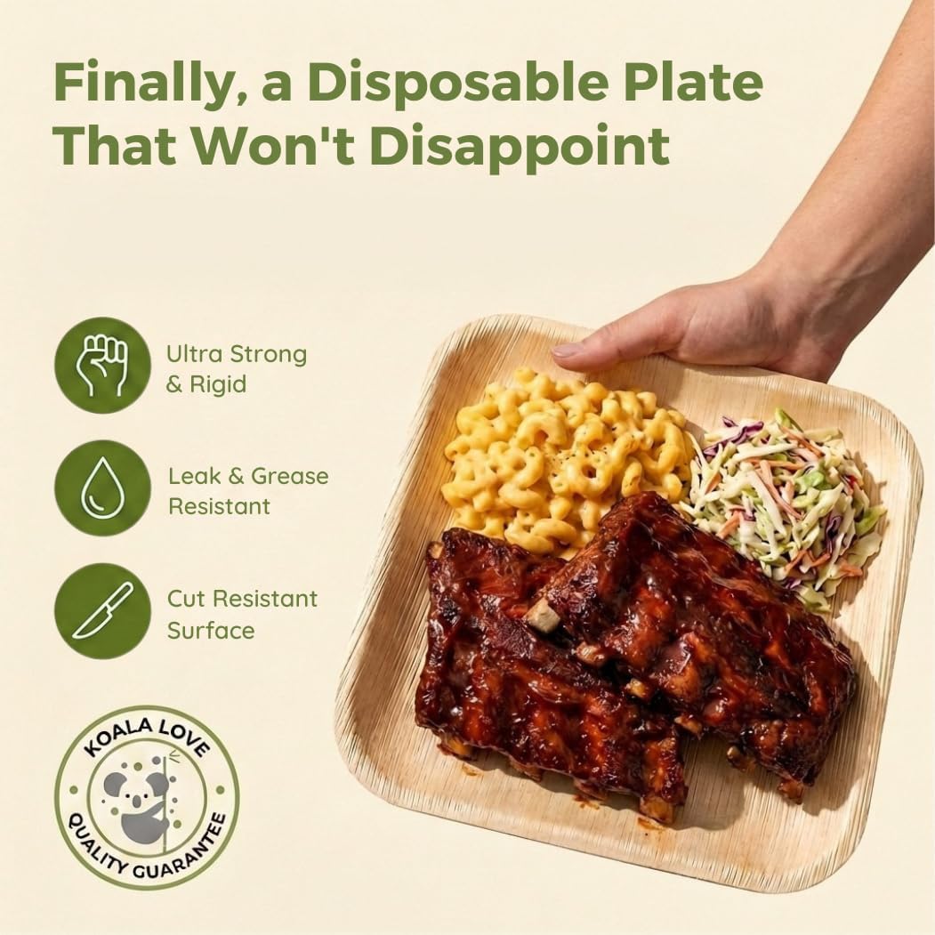 Palm Leaf Plates KoalaLove Square Eco-Friendly Disposable Tableware

