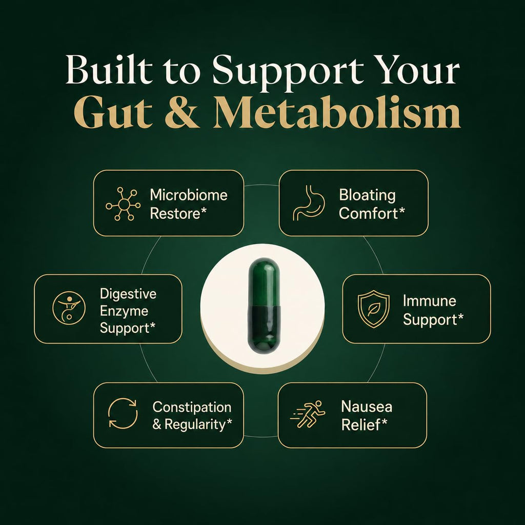 GLPLUS+ GLP-1 Digestive Synbiotic Supplement

