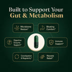 GLPLUS+ GLP-1 Digestive Synbiotic Supplement

