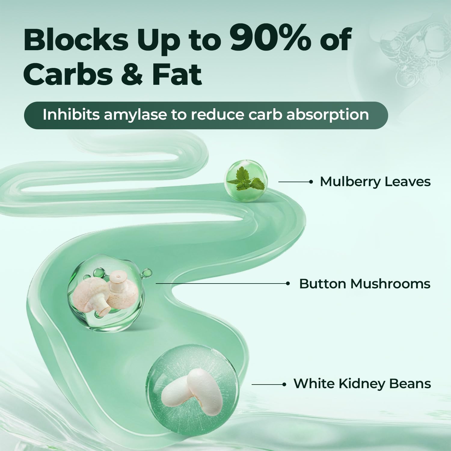 OxyEnergy Weight Loss Supplement for Appetite Support

