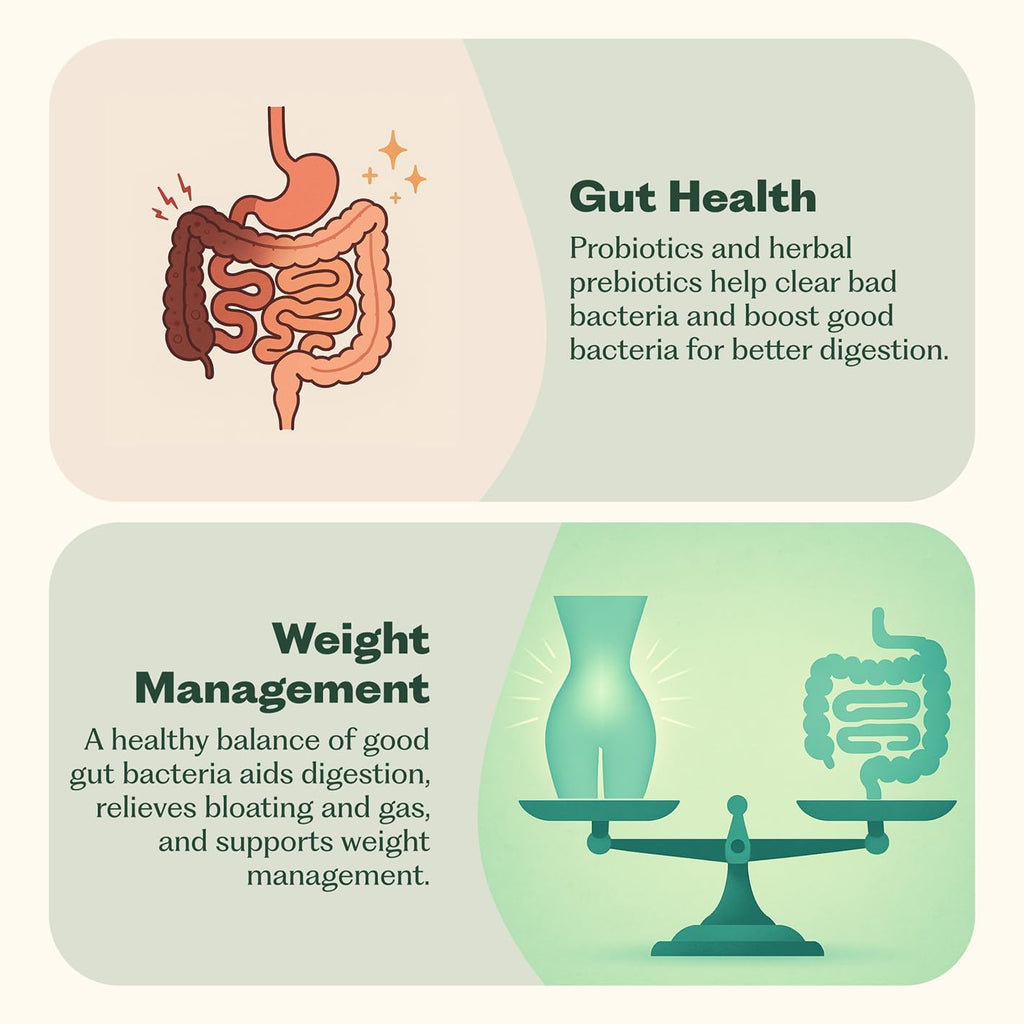 Synbiotic 365 Probiotic Supplement for Digestive Health

