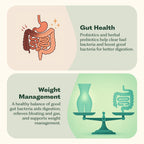 Synbiotic 365 Probiotic Supplement for Digestive Health


