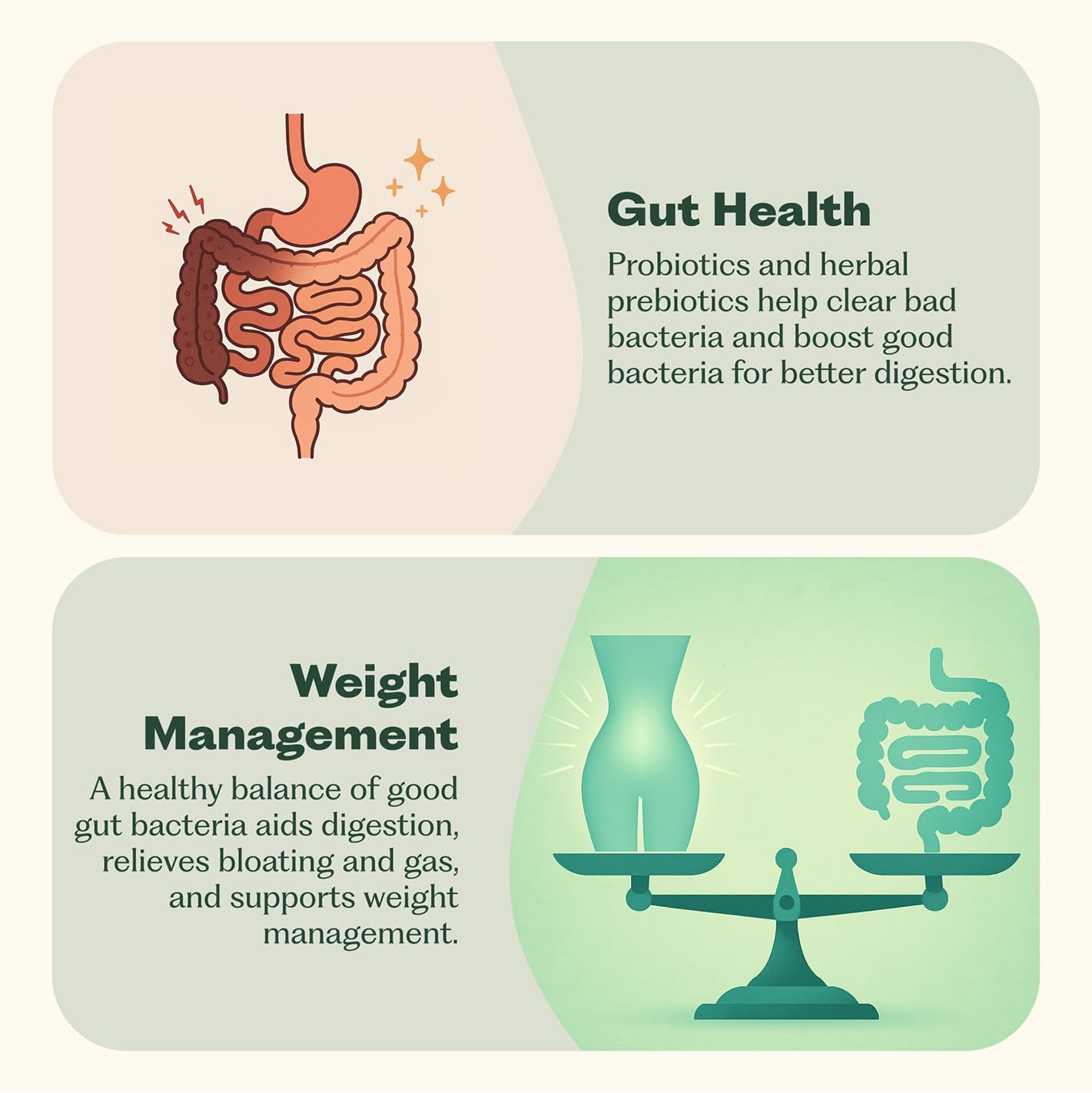 Synbiotic 365 Probiotic Supplement for Digestive Health

