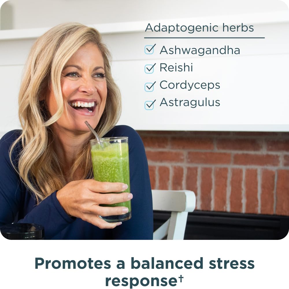 Ancient Nutrition Super Greens Powder - Organic Probiotics

