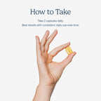 Zenwise Health No Bloat Digestive Enzymes with Probiotics

