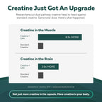 Creatine Supplement for Energy & Focus

