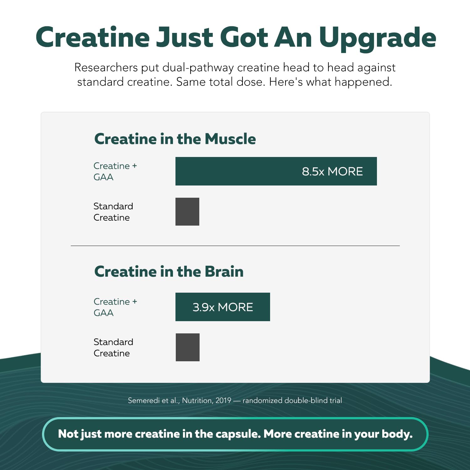 Creatine Supplement for Energy & Focus

