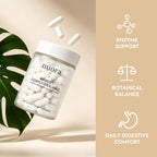Nuora Gut Health Probiotic Ritual for Digestive Balance

