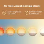 Sunrise Alarm Clock with Noise Machine and Bluetooth Speaker

