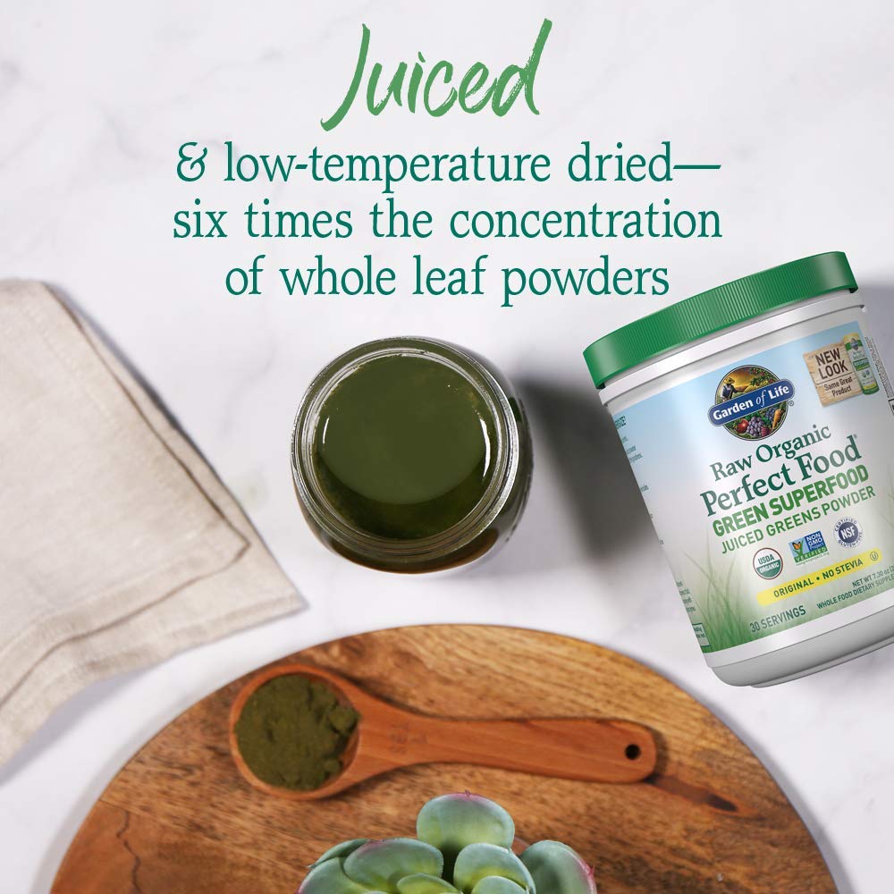 Garden of Life Raw Organic Perfect Food Greens Powder

