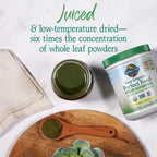 Garden of Life Raw Organic Perfect Food Greens Powder

