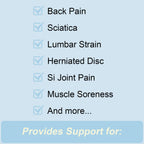 cybryeh Back Brace for Lower Back Pain Relief | Adjustable

