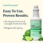 Nature's Sunshine Liquid Chlorophyll – Immunity Support

