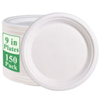 Vplus Bagasse Paper Plates – Compostable Heavy-Duty

