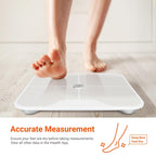iHealth Nexus Smart Scale Weight and Body Composition

