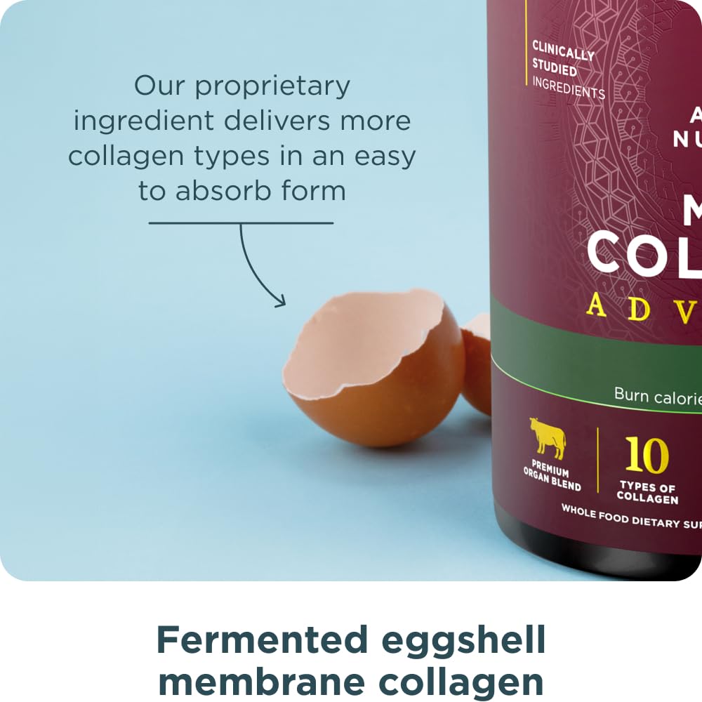 Ancient Nutrition Collagen Peptides Powder with Probiotics

