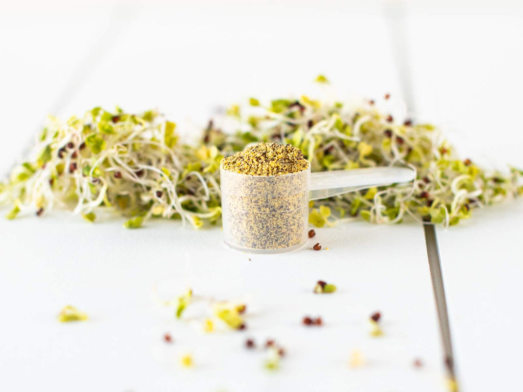 KOYAH Broccoli Sprout Powder | Easy Nutrition

