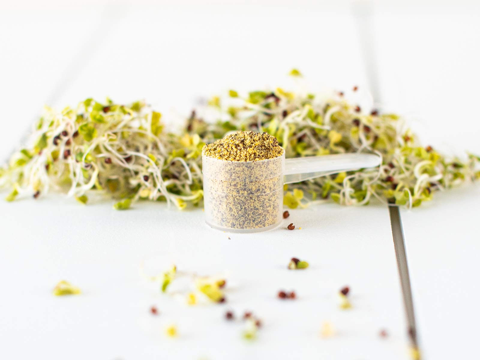 KOYAH Broccoli Sprout Powder | Easy Nutrition

