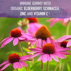 Garden of Life Organics Elderberry Gummies Immune Support

