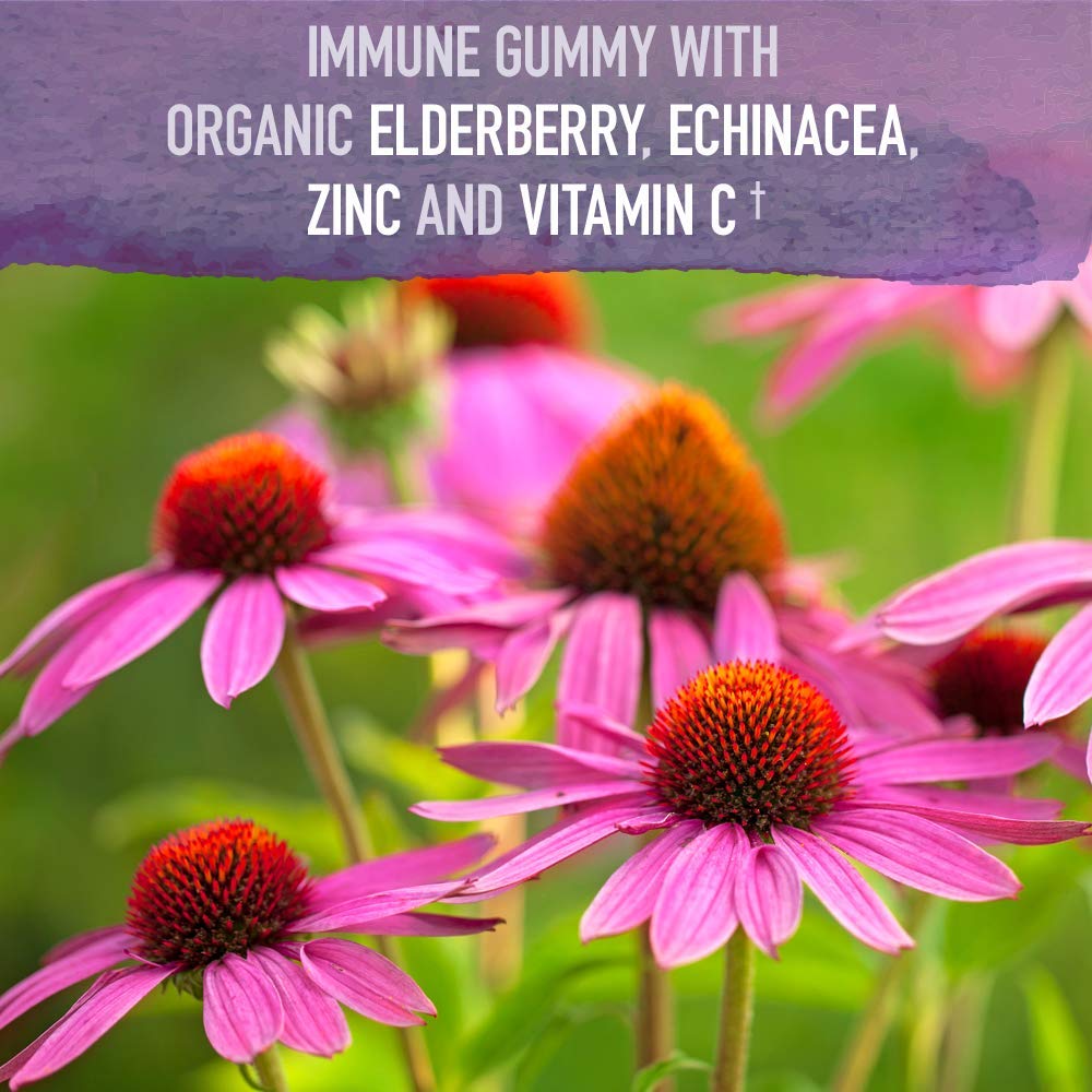 Garden of Life Organics Elderberry Gummies Immune Support

