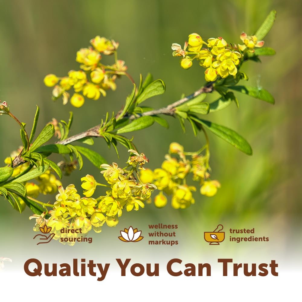 Micro Ingredients Berberine 1000mg Softgels with MCT

