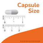 Psyllium Husk Capsules NOW Foods Digestive Health

