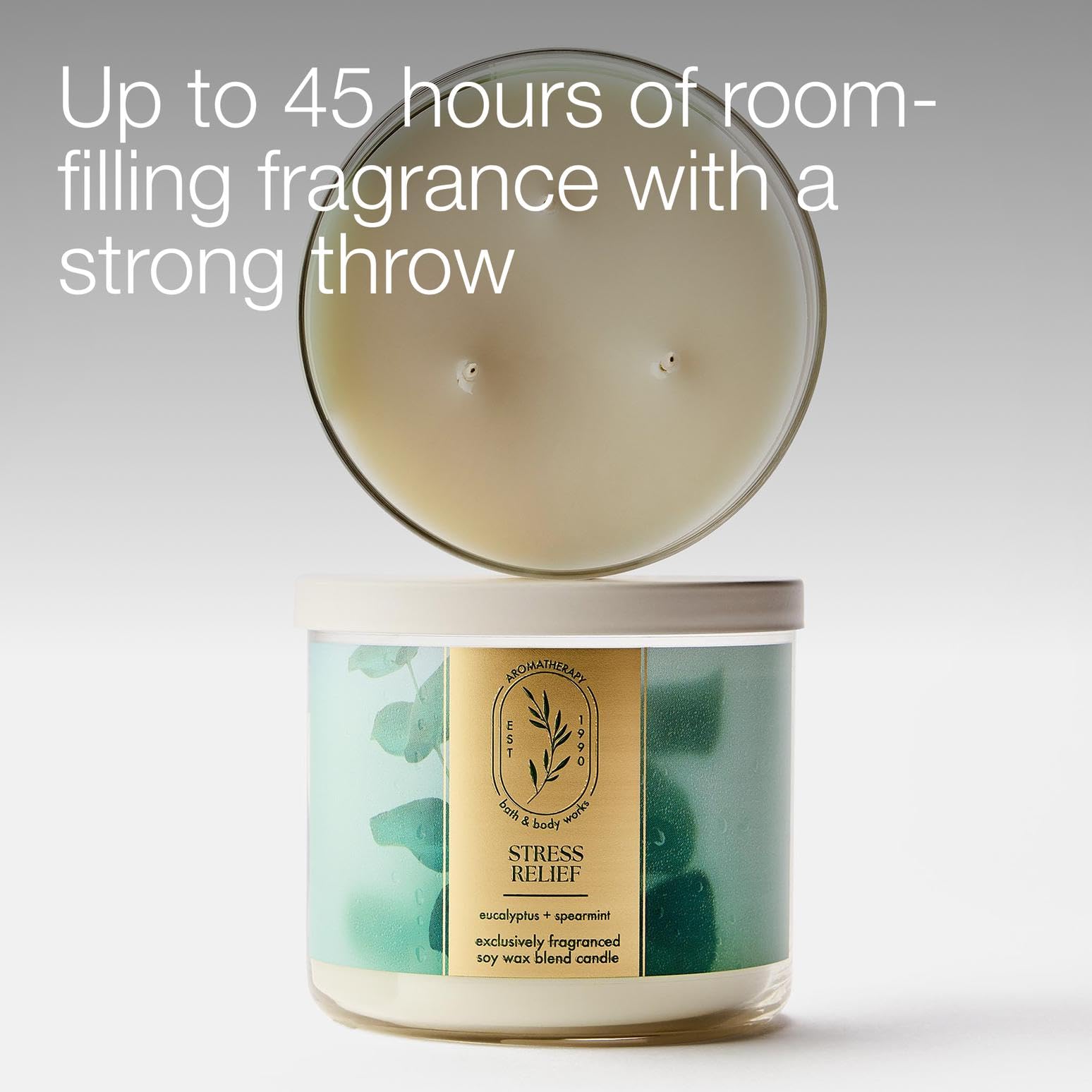 Bath & Body Works 3-Wick Candle Soy Wax Blend

