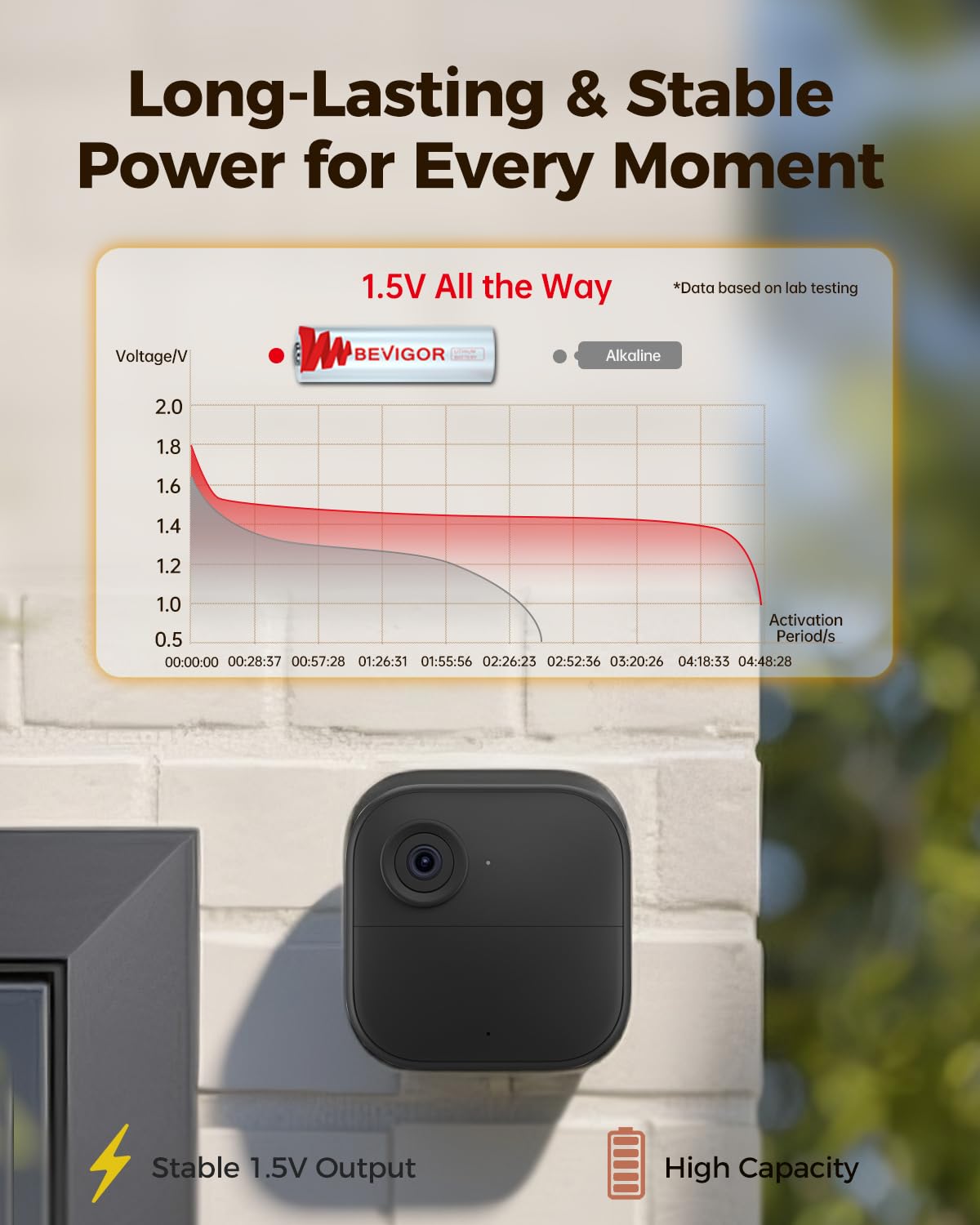 Bevigor Lithium Batteries - Long-Lasting 1.5V Power

