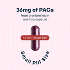Utiva Cranberry PACs for Urinary Health | UTI Prevention


