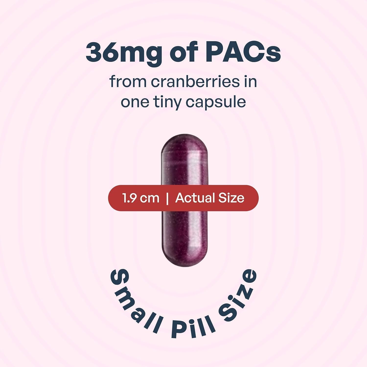 Utiva Cranberry PACs for Urinary Health | UTI Prevention

