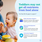 Toddler Multivitamin Gummies with Choline | Clean Label Nutrition

